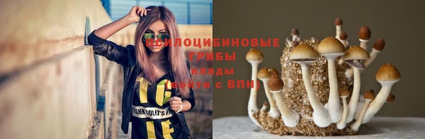 гашик Волосово