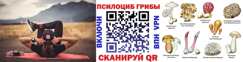 Купить закладки  Канаш  Псилоцибиновые грибы GOLDEN TEACHER 